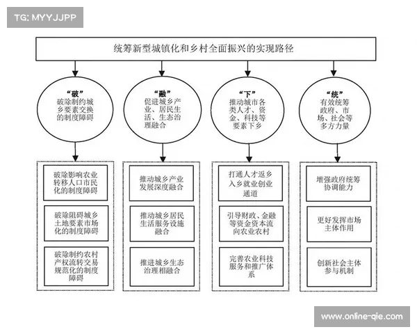 冠军挑战权分配机制与赛事商业考量